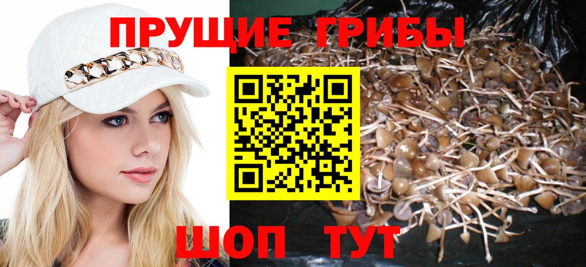 Псилоцибиновые грибы Magic Shrooms Вышний Волочёк